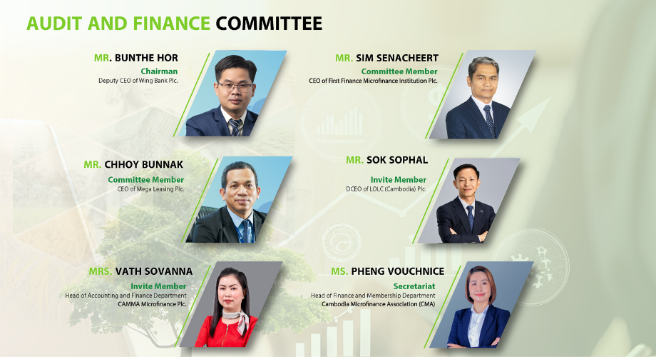 Audit and Finance Committee